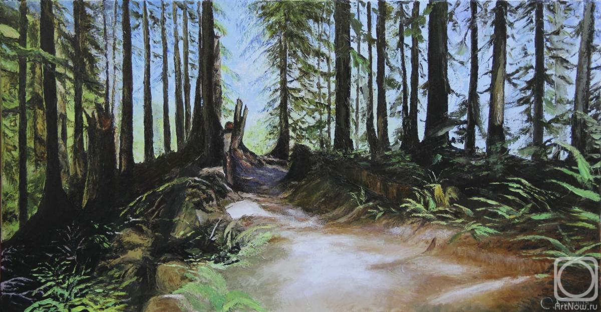 Gaponov Sergey. Forest trail
