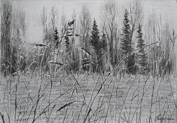 ������� ��������� ����� �����