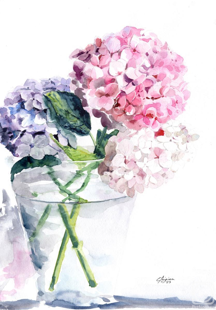 �������. ������� �����. ���������. ����