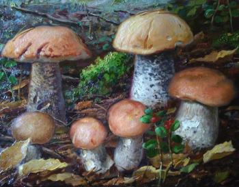 Mushrooms. Mukhin Boris