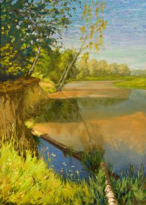 Ozerna River. Summer 2020 near Ugyn village (Moscow Scenery). Gubin Rodion