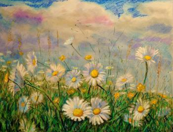 Daisies on the field. Gubin Rodion