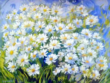 Daisies