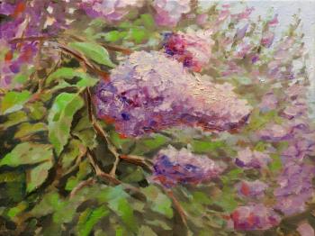 Lilac bush. Spring. Gubin Rodion