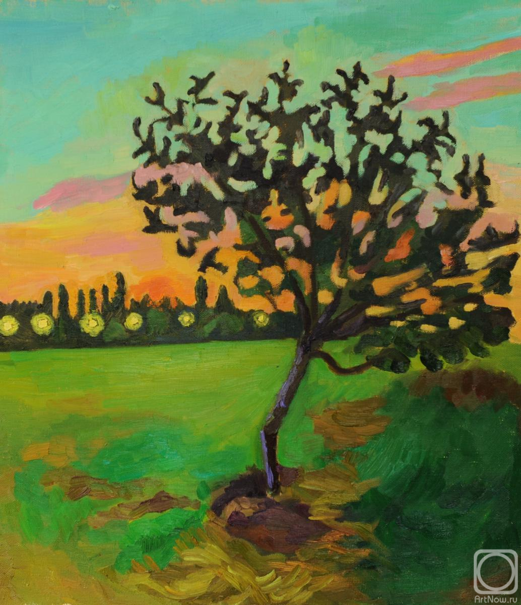 ������� ������ �� ������. ������� �������. ������ �������