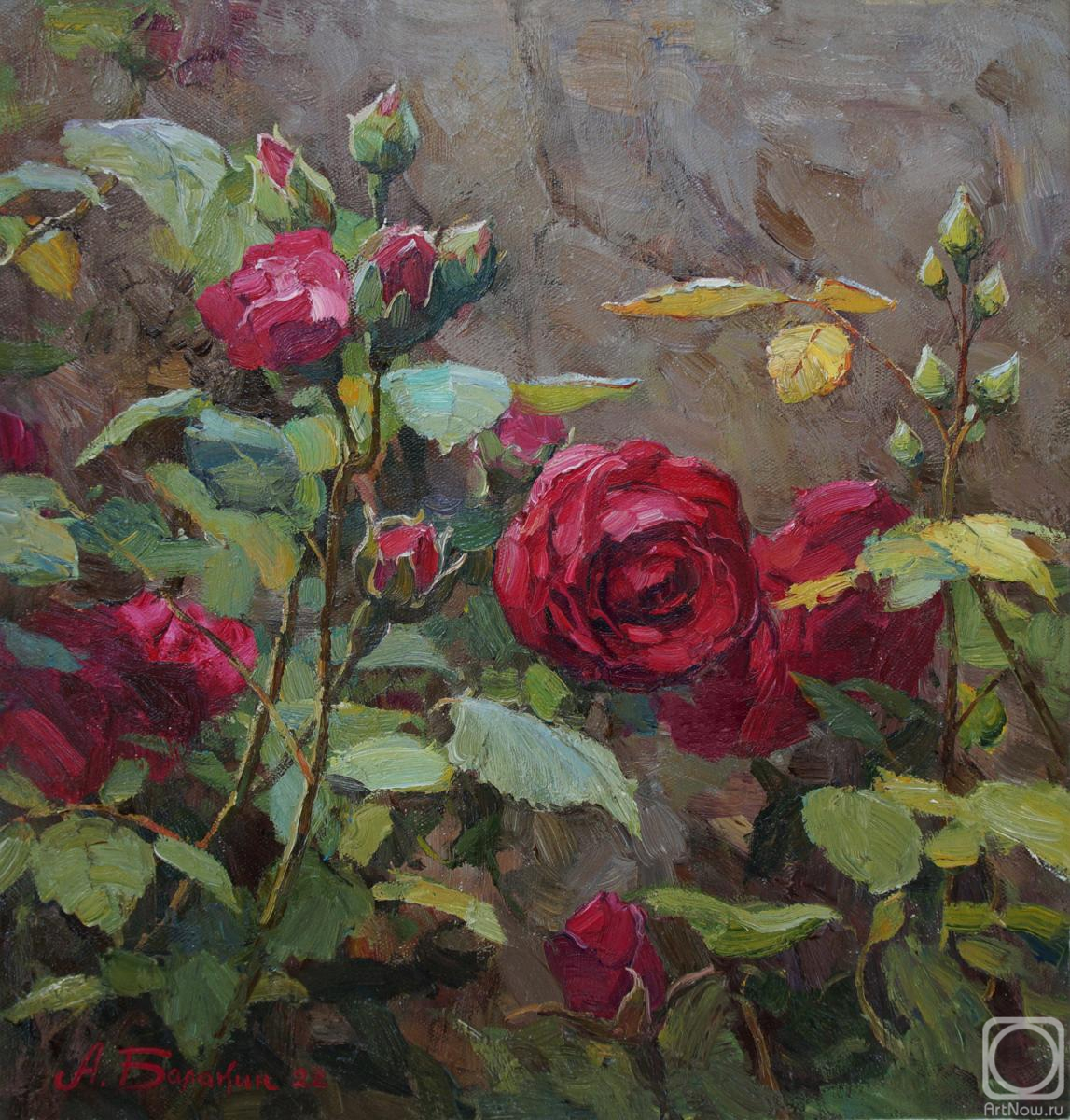Balakin Artem. Scarlet roses