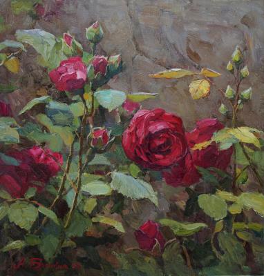 Scarlet roses. Balakin Artem