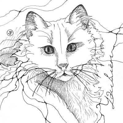 I am amazed. "Cat's Secret" series. Grebennikova Lyudmila