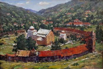 Studenica Monastery. Serbia (etude)