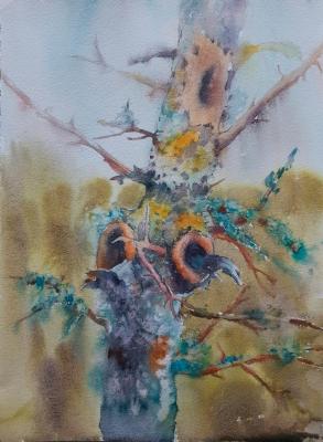 ������ � ������� (��������). ������ �����