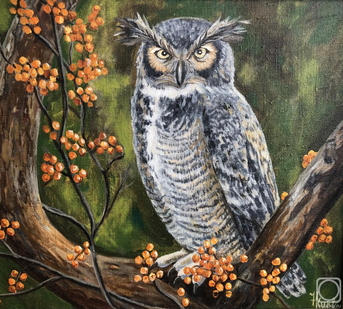 Kirilina Nadezhda. The Owl