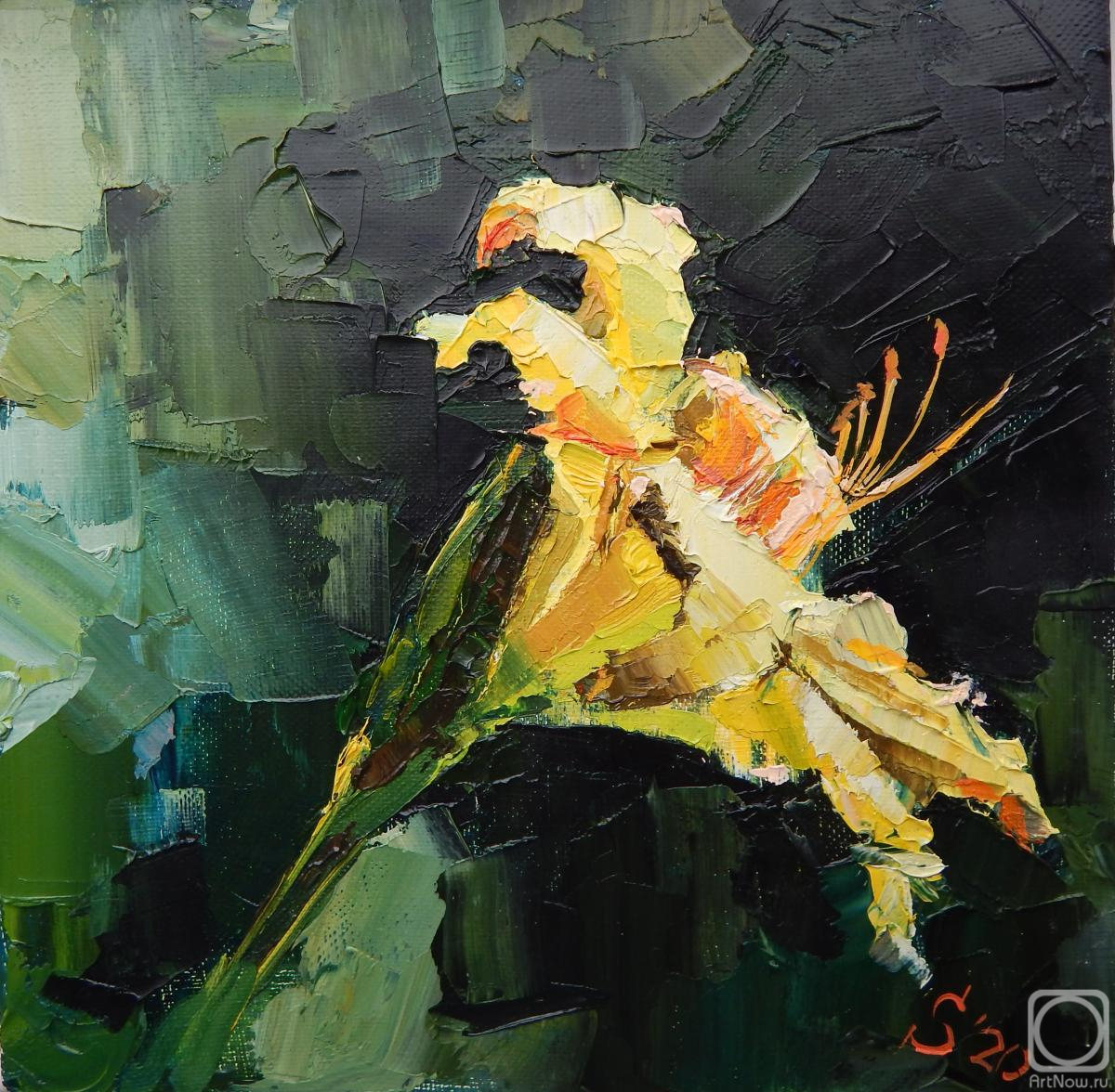 ������� ������ �� ������. �������� ��������. ��������� �����