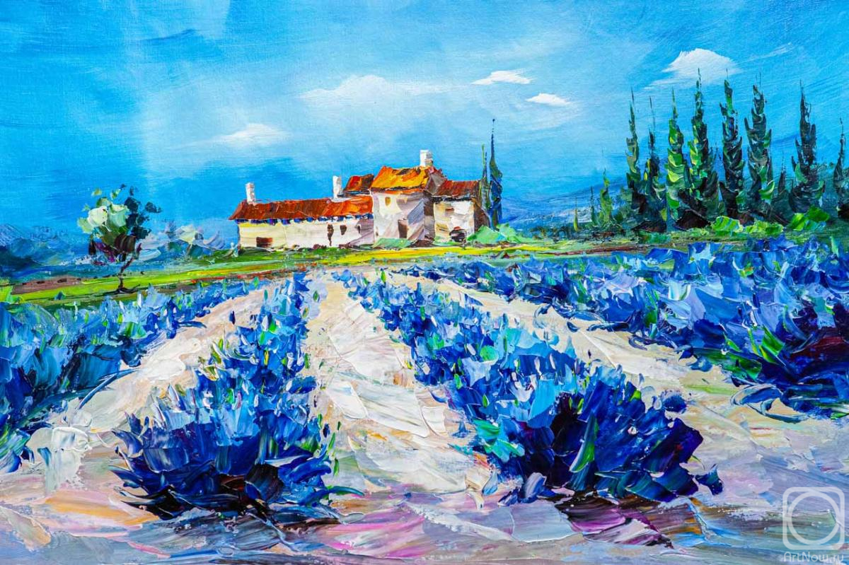 Rodries Jose. The lavender fields. Blue