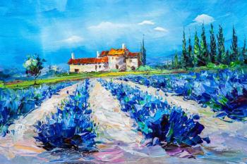 The lavender fields. Blue. Rodries Jose