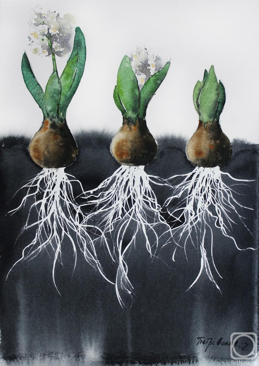 �������. ���������� �����. �����