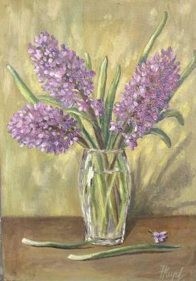 Hyacinths. Kirilina Nadezhda