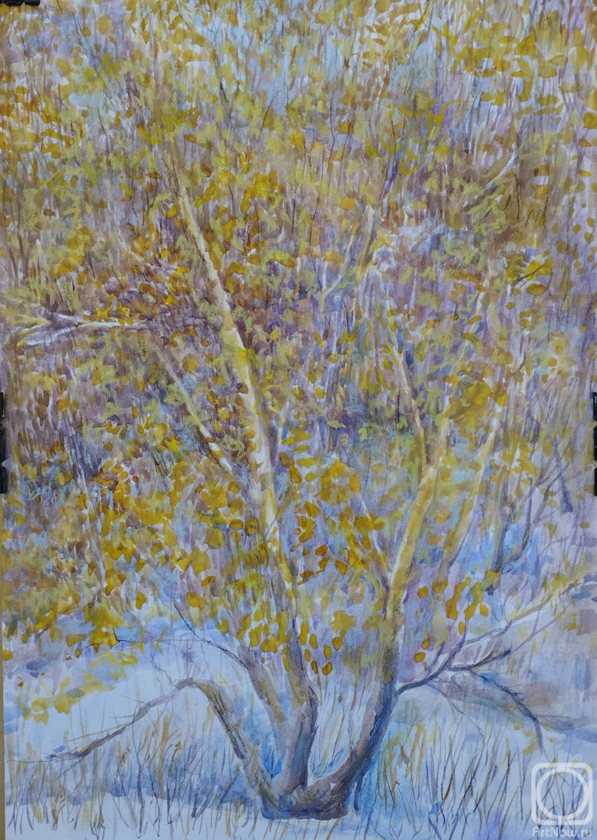 �������. ��������� �����. ������ ���