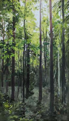 Sunny corner of the forest (Chiaroscuro). Mashin Igor