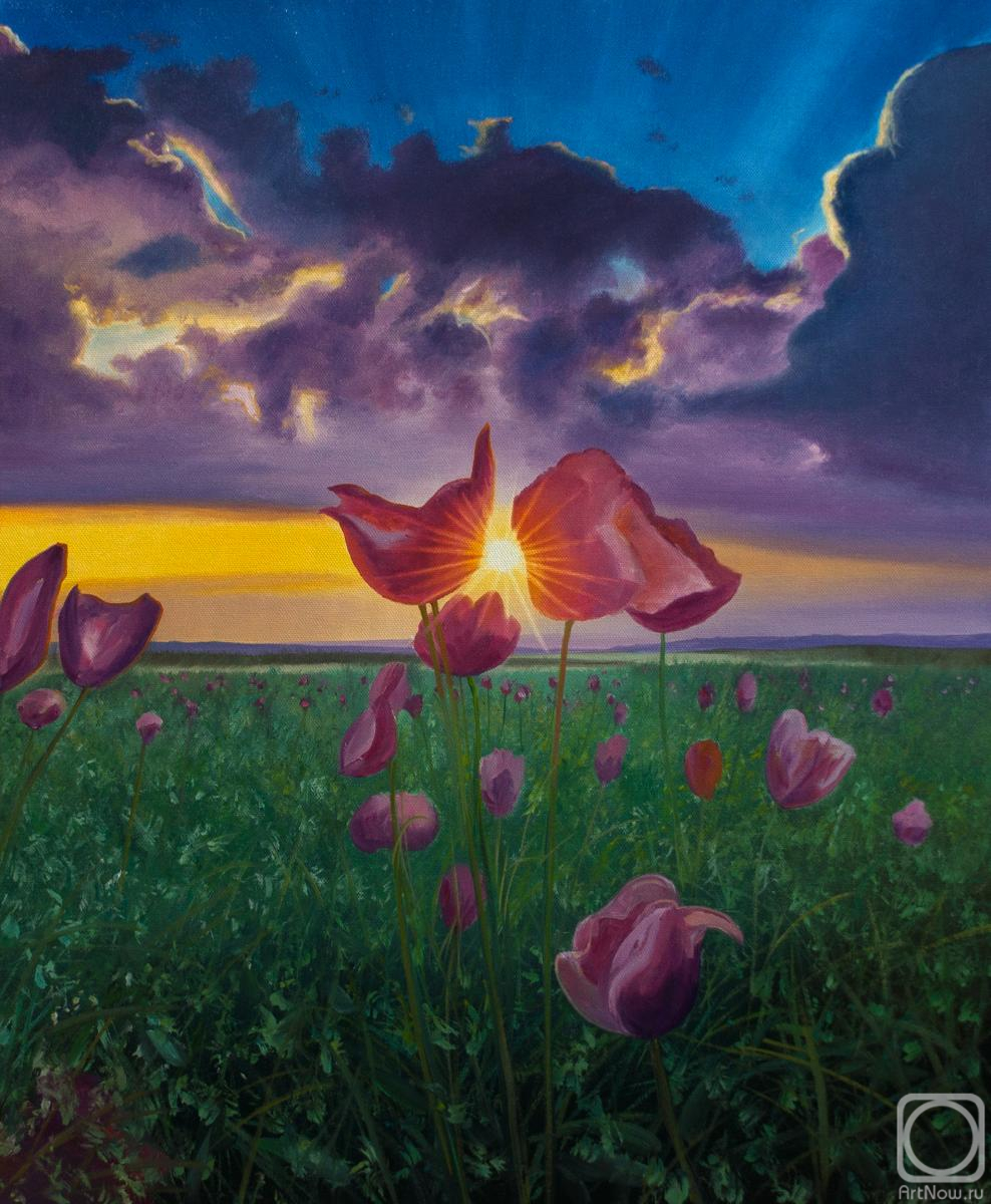 ������� ������ �� ������. ��� ��������. ����� �����