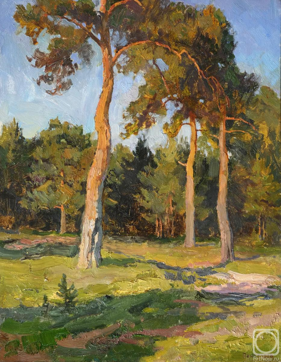 Panteleev Sergey. Pines on the edge (etude)