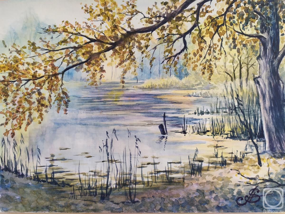 Smetankin Anatoliy. Autumn on the pond