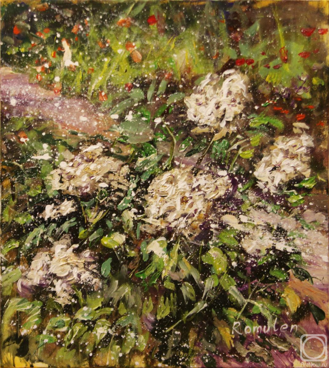 �������. ���������� �����. ������ ����������