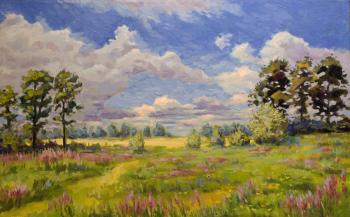 Summer. View near Voronezh 2022 Oil on canvas. Gubin Rodion