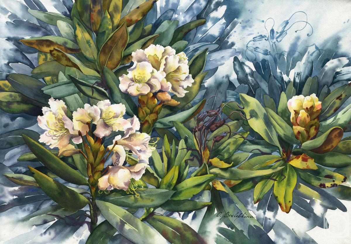Bezlepkina Olga. Rhododendron #12