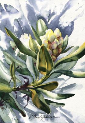 Rhododendron #8. Bezlepkina Olga