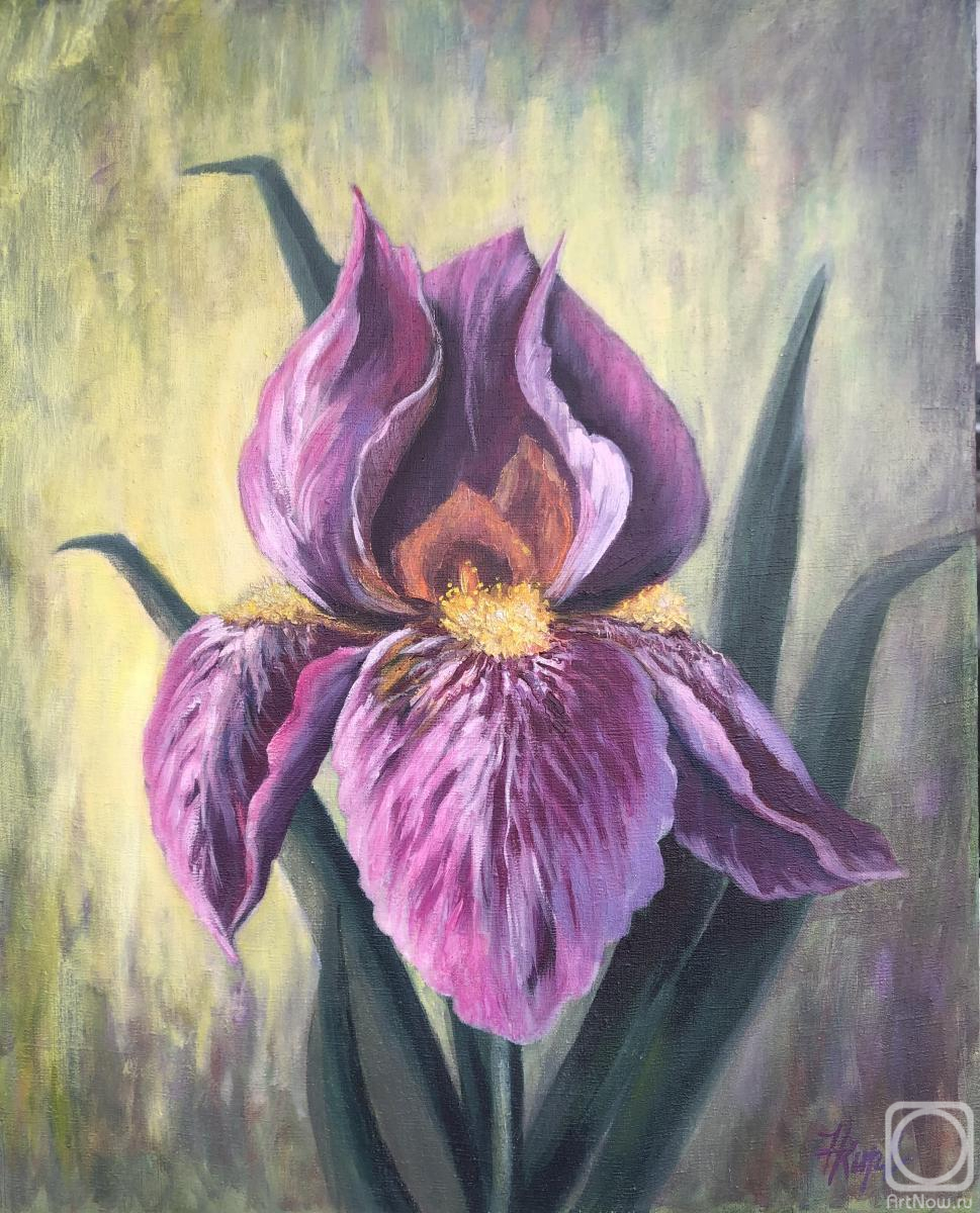 Kirilina Nadezhda. The iris flower