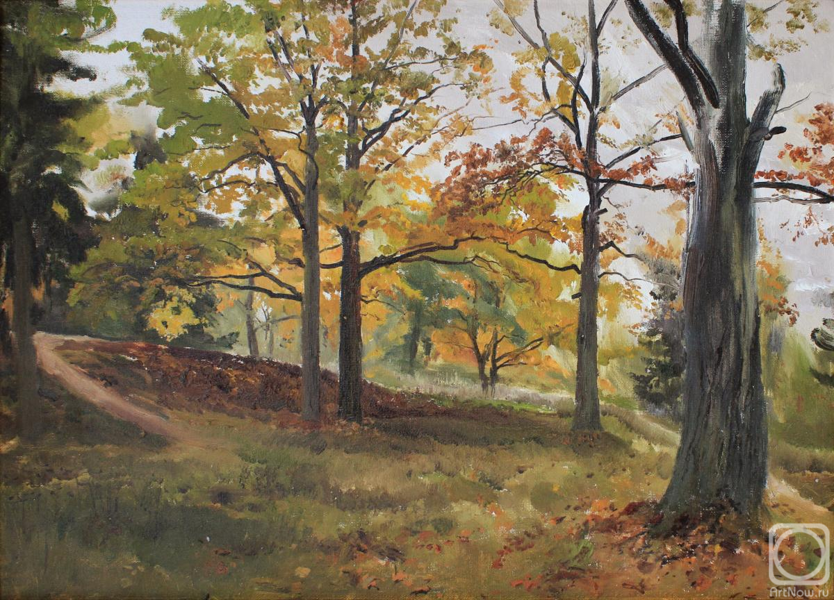 Mashin Igor. Autumn oaks in Grebnevo