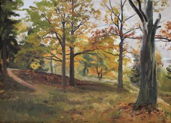 Autumn oaks in Grebnevo. Mashin Igor
