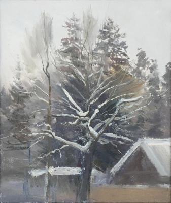 Oak under the snow. Mashin Igor