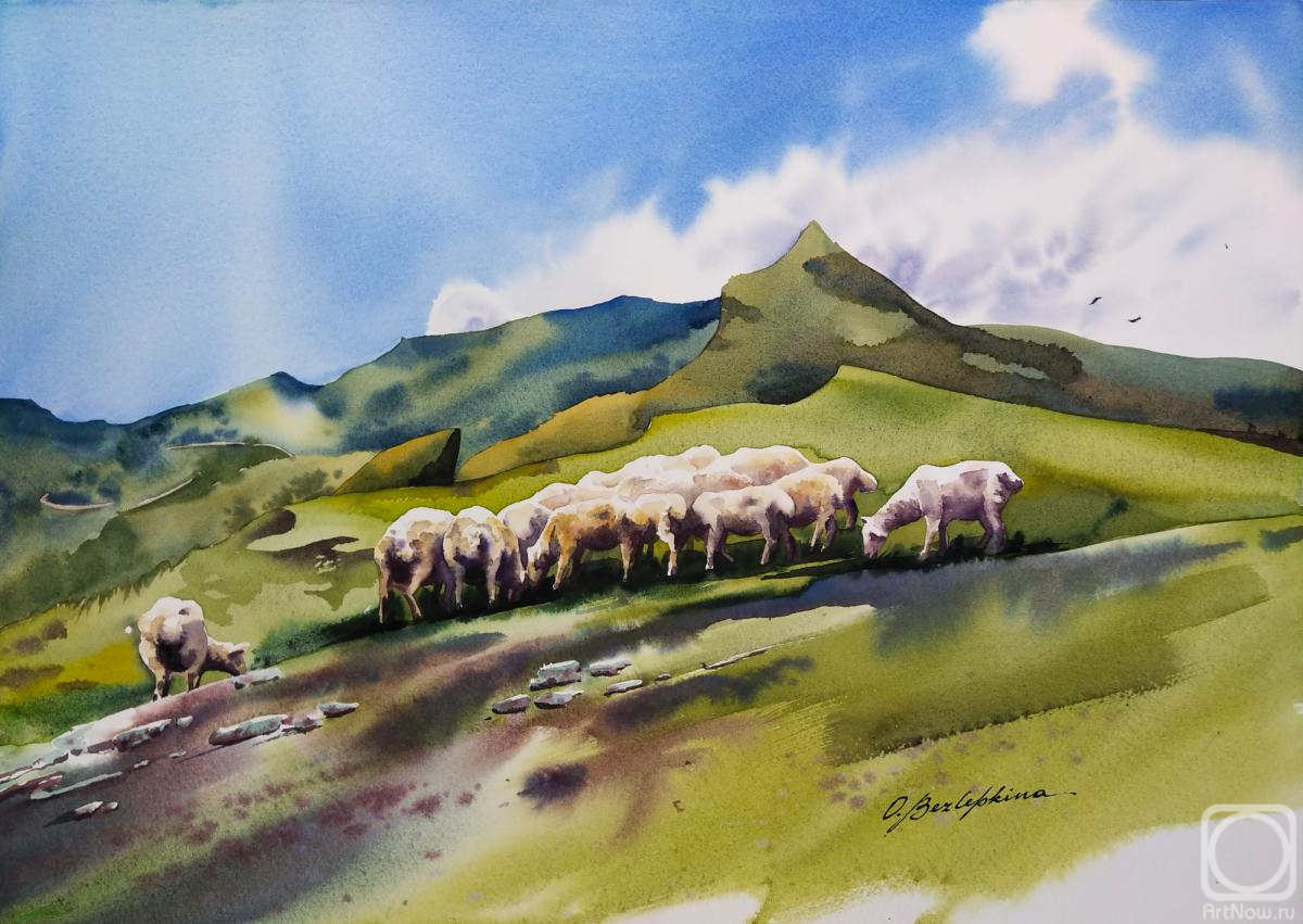 Bezlepkina Olga. A herd of sheep near the village of Khunzakh. Dagestan