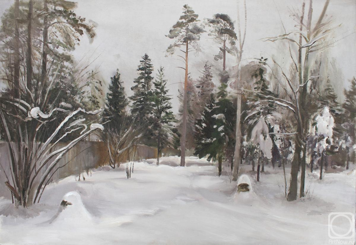 Mashin Igor. Winter Forest