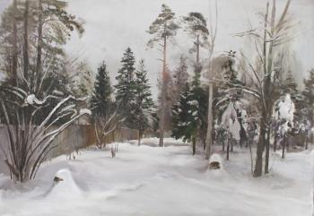 Winter Forest. Mashin Igor