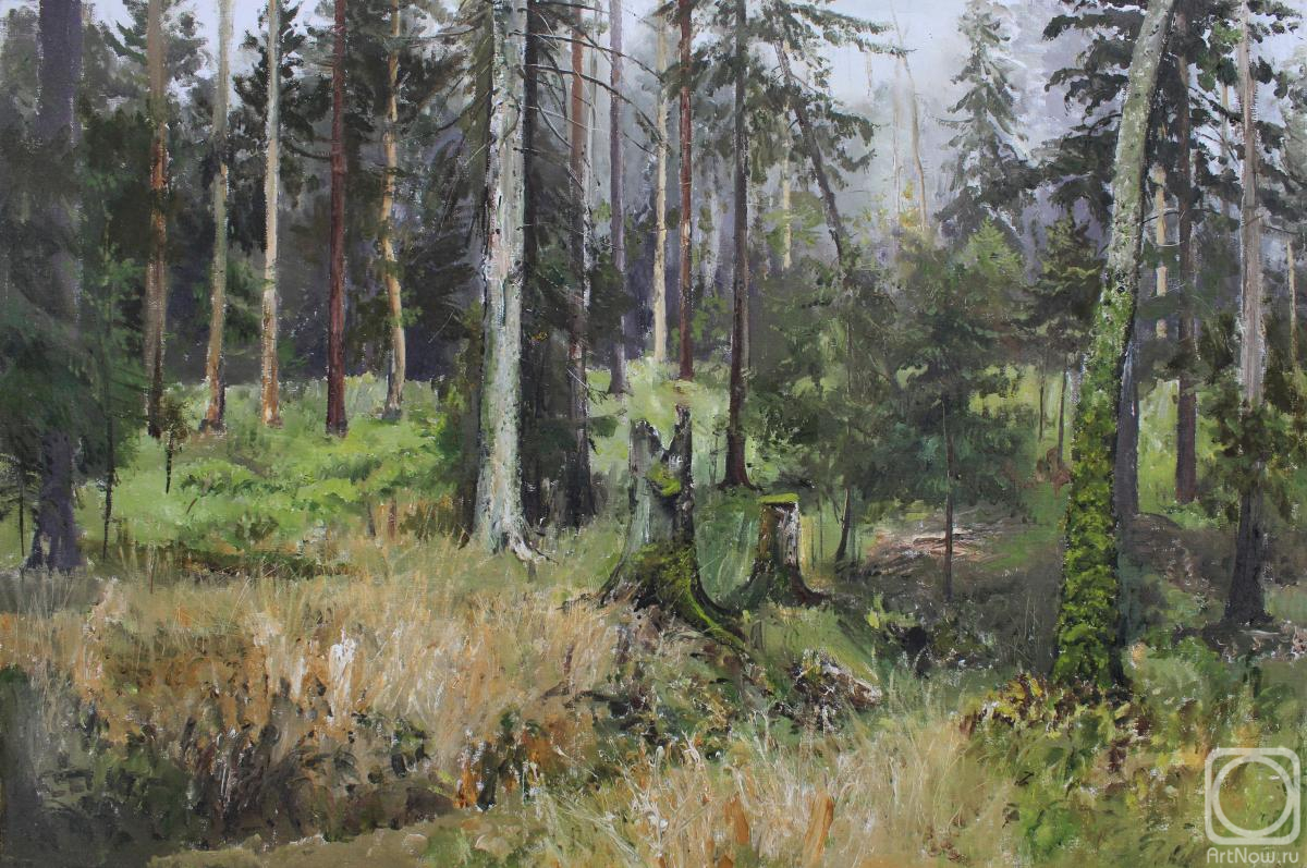 Mashin Igor. Dense forest