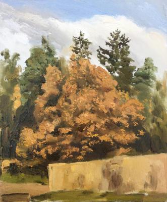 ������� ���� (����)�