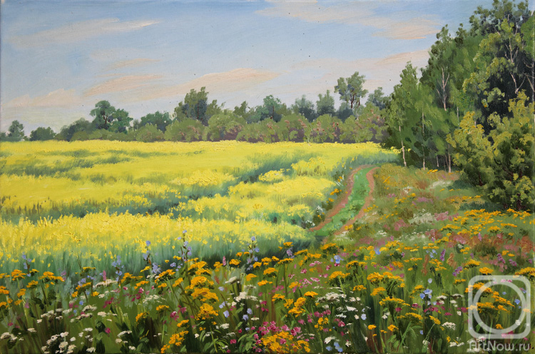 Gaifullin Airat. Field of yellow flowers