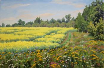 Field of yellow flowers (Yellow Field). Gaifullin Airat
