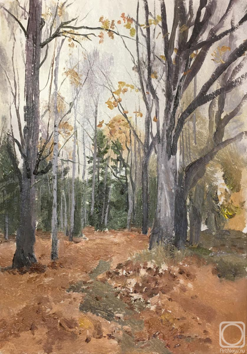 Mashin Igor. Oak grove in autumn
