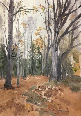 Oak grove in autumn. Mashin Igor
