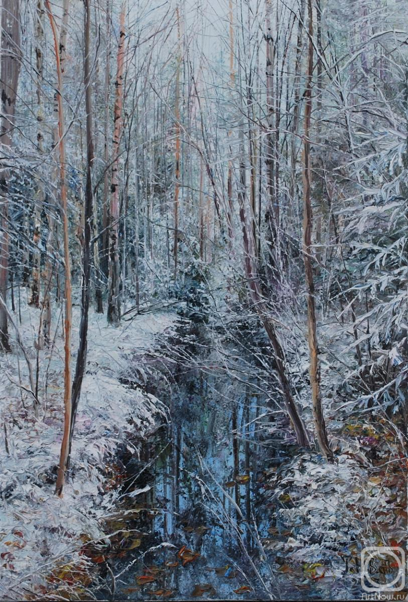 Vokhmin Ivan. Winter grove