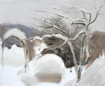 Winter (etude). Mashin Igor