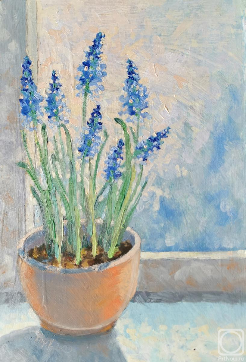 �������. ��������� ����. ���������