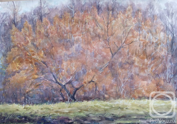 �������. ��������� �����. ������� ���