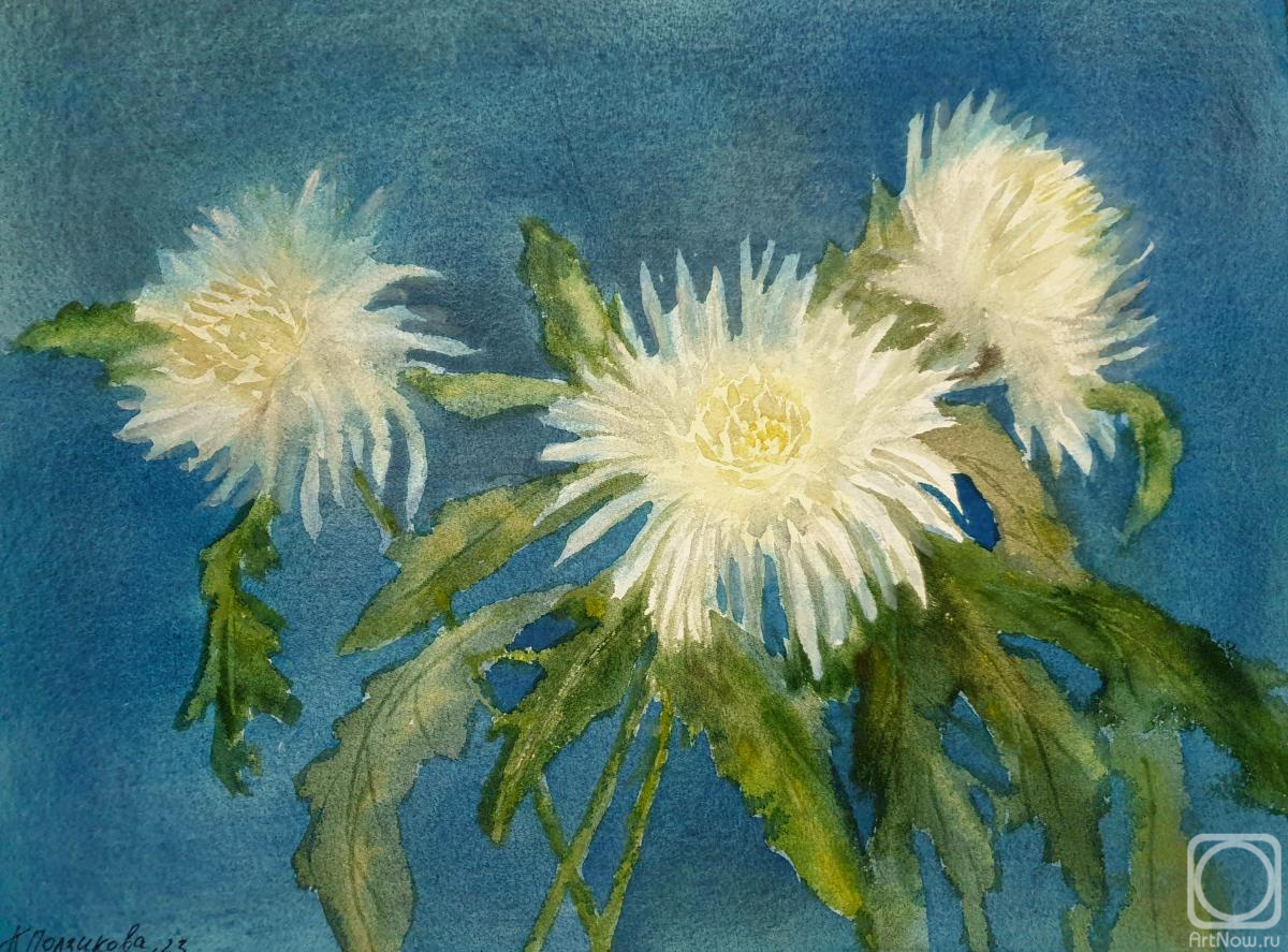 �������. ��������� ������. ����������