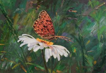 Butterfly. Krasovskaya Tatyana