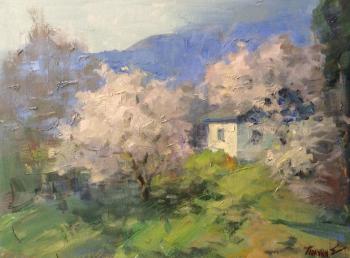 House in a blooming garden. Poluyan Yelena