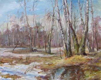 Spring in the birch grove. Novikova Marina